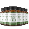 Pure Body Clean (6 Dosen)